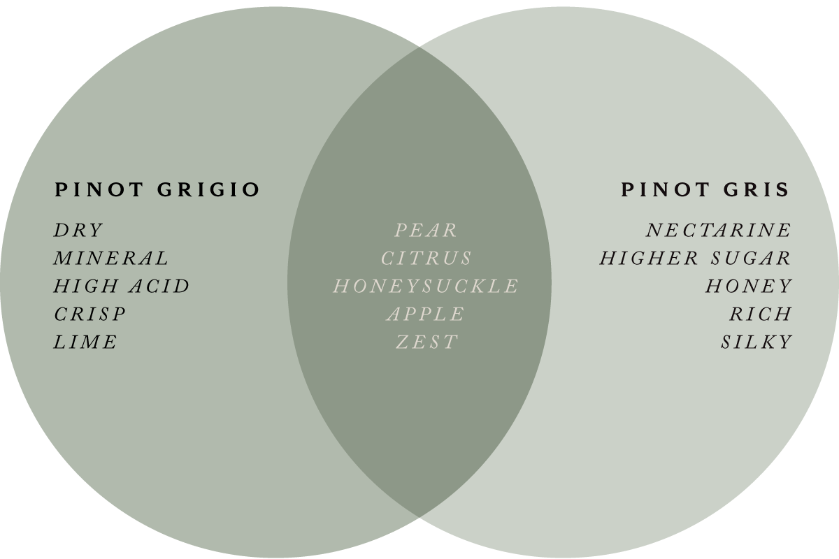 Heads for Gris, Tails for Grigio