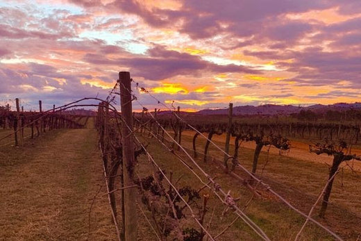 Thoughts On Mudgee & Tempranillo